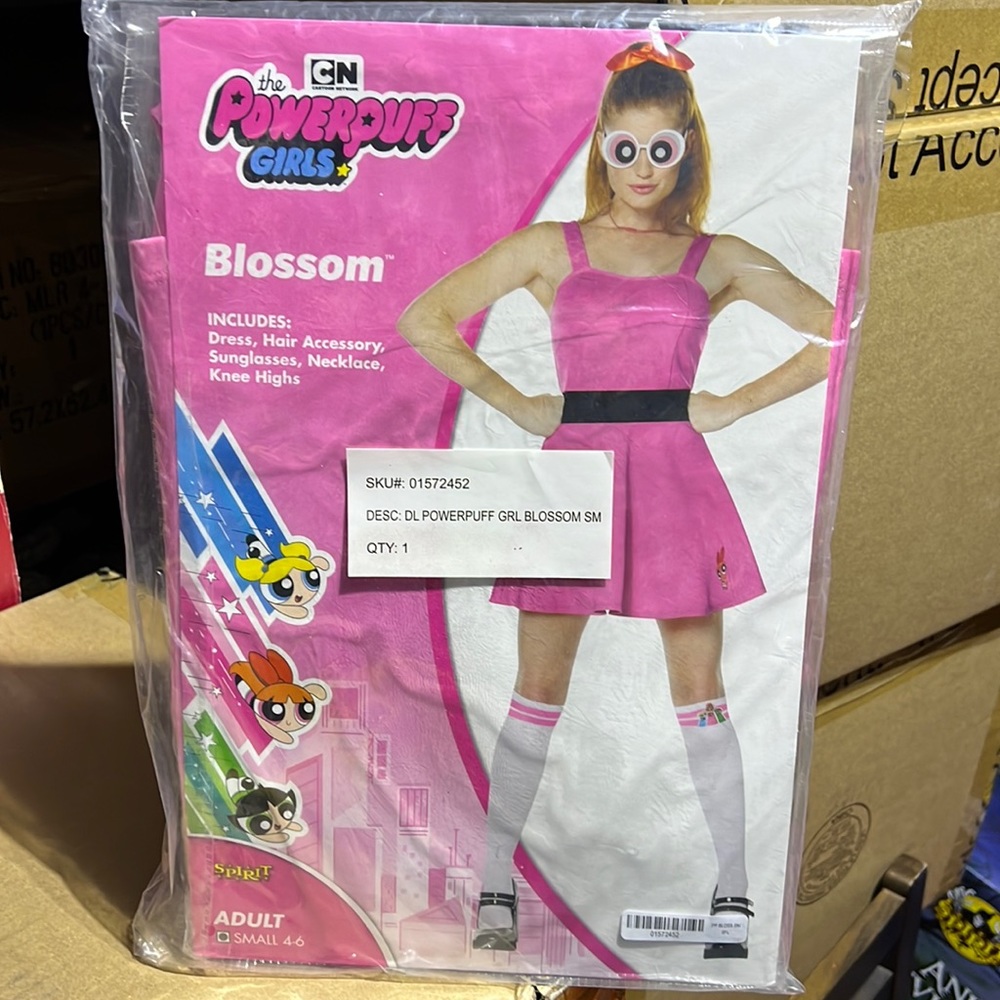 Powerpuff Girls Blossom Adult small Costume NWT